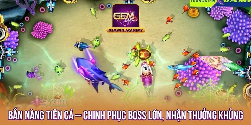 BẮN CÁ GEMWIN – GIẢI ĐÁP NHỮNG THẮC MẮC THƯỜNG GẶP